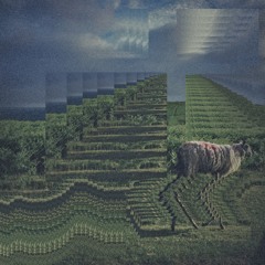 I Bet You Love Gambling