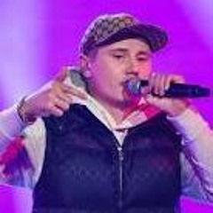 einar (AI) Hög snippet