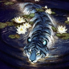 Relaxing Instrument At Night