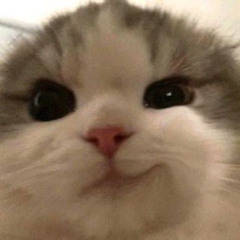 Sparkle! (Prod.Omamurin)