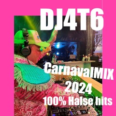 DJ4t6 - CarnavalMIX2024 100%HALSE Hits van vroeger en nu!