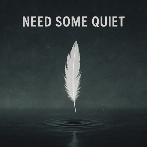Need Some Quiet