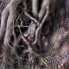 concordance of discrepancy