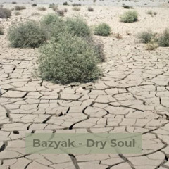 Bazyak - Dry Soul @ Excl for ChillOutPlanet.Ru