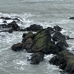 And I just thought - 07/05/2023, 00.30