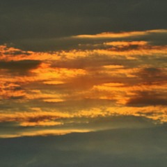 AK & Misc.Inc - Nightingale