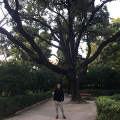 Cosmic Love Rotation - 06 November 2025