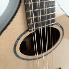 LS Citt, P.O. Cedar & Rosewood, Nordic Strung CFCGD