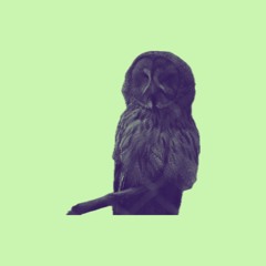 Slow Songs