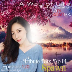 PREVIEW: A Way of Life Ep.120(Tribute Mix No.14: Spawn)