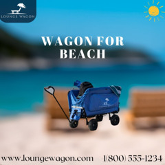 Why a Wagon for Beach Trips Makes Life So Much Easier