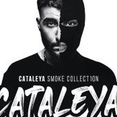 CATALEYA