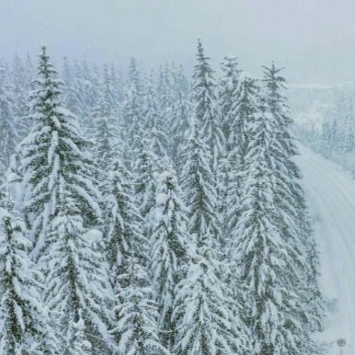 Snowfall