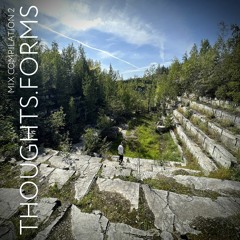 THOUGHTS.FORMS dari neris X magdalena - compilation 2 (organic house mix)