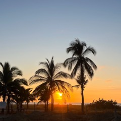 Paper Chasers - Dancehall Mix By Elementry - Mastered