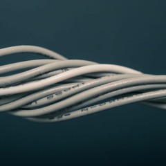 Flying, Riding, Walking, Swimming