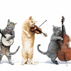 STS349Sauce - Assignment9- Mashup