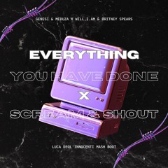 Everything You Have Done x Scream & Shout (Luca Degl'Innocenti Mash Boot)
