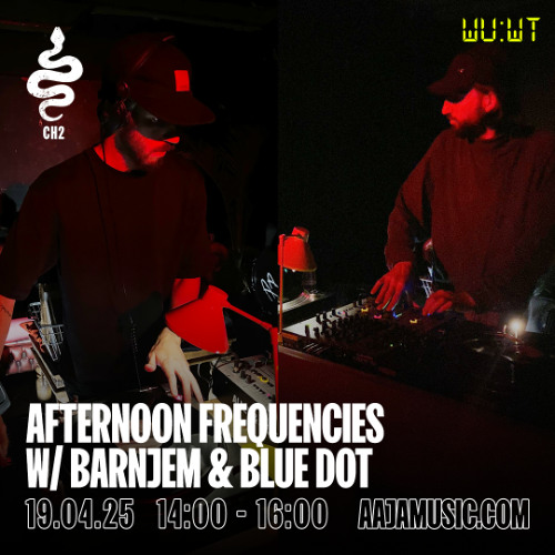 Afternoon Frequencies w/ Barnjem & Blue Dot - Aaja Channel 2 - 19 04 25