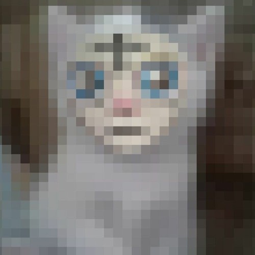 Would you help an angel get back on its paws? (test 1_cat)
