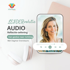 Audio LEIDERvolutie Van gedoe naar richting