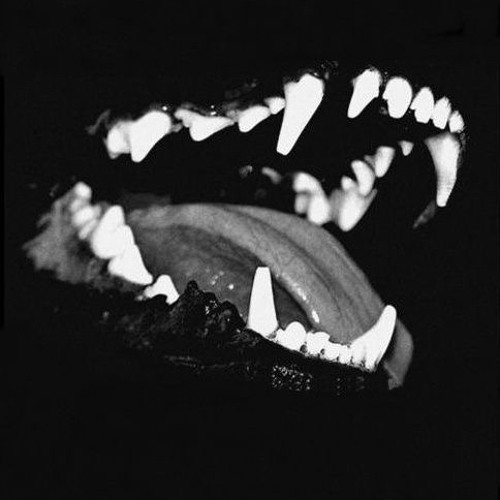 Flume - Test and Reconise reversed (tiktok version)