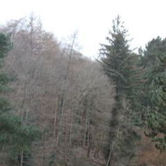 Dug Under My Skin (demo)