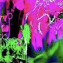 (Whistle) feat hbkjacobbb