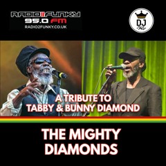 Tribute to Tabby and Bunny -Mighty Diamonds