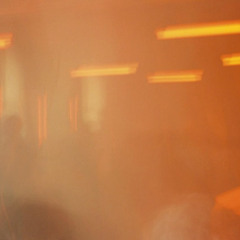 ani/live Seventy Five: Dolly @ Animalia, Miscellania