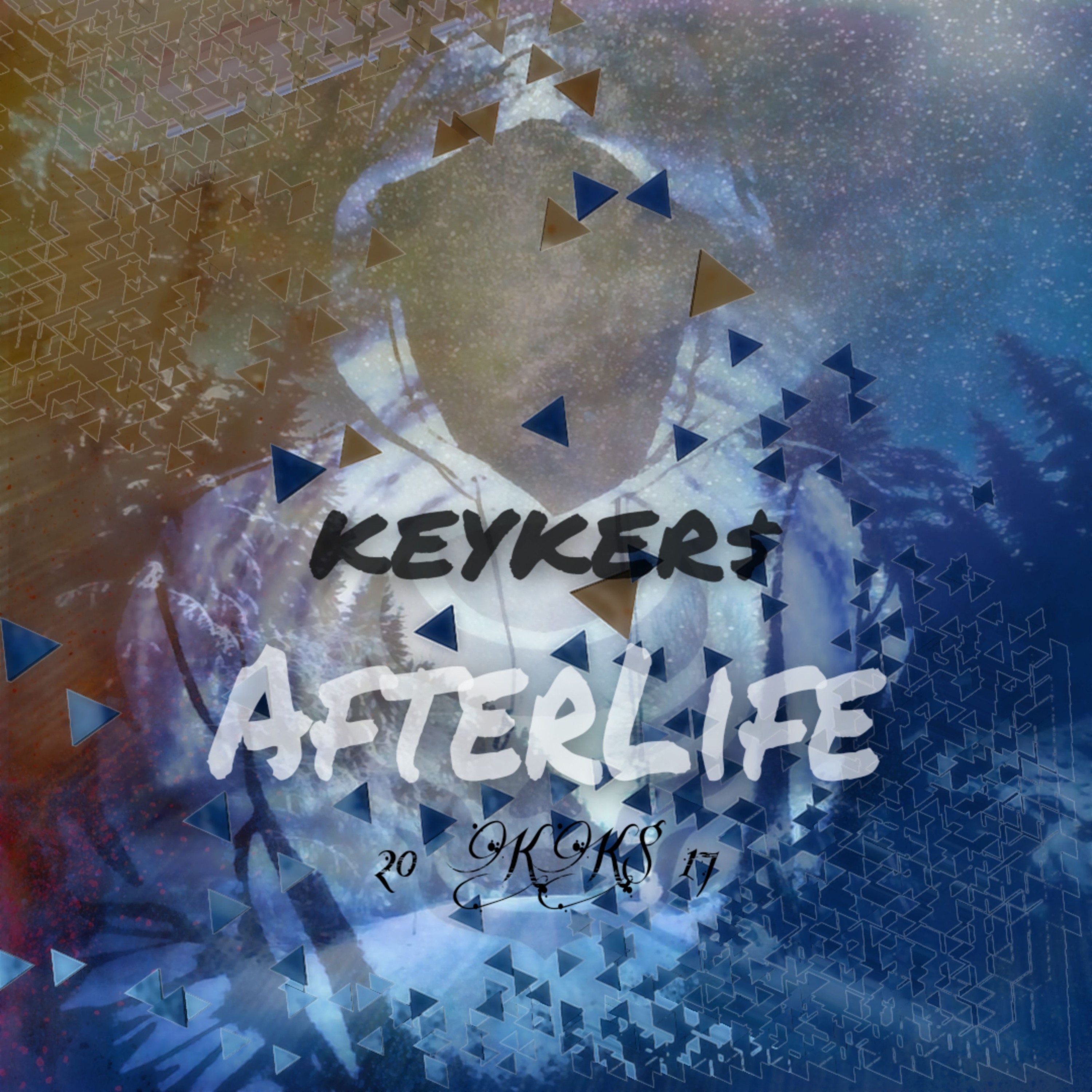 Track cover