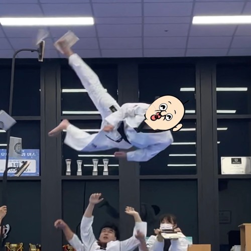 노란띠 빵빵이도 공중제비 도는 헌포mix