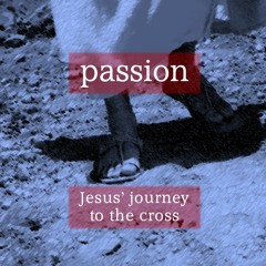 Passion – Jesus’ Entry Into Jerusalem