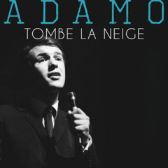 Tombe La Neige  - Salvatore Adamo  , performed with Korg PA4X