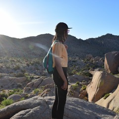 Joshua Tree