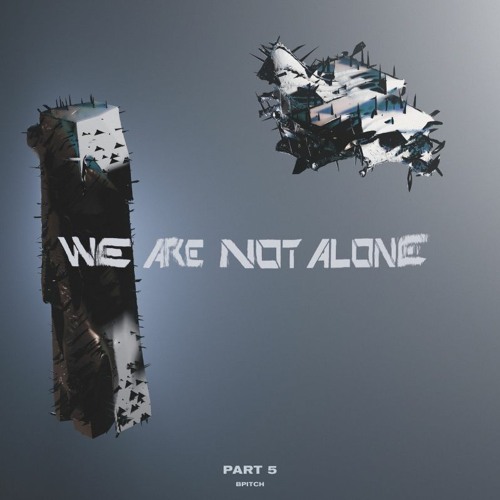 Various – We Are Not Alone (Part 5) [WANA-05 | Full Tracks]