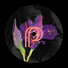 PREMIERE: Erika de Casier - Drive (visualize.more edit)