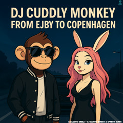 From Ejby to Copenhagen (Zen Lights of Denmark) Preview