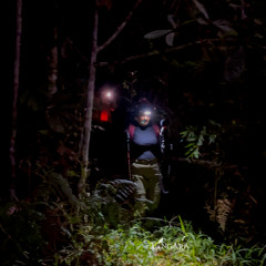 300525 / Listen Fauna / Retorno del Bosque Maestro / Tierra de Bosques / Binaural