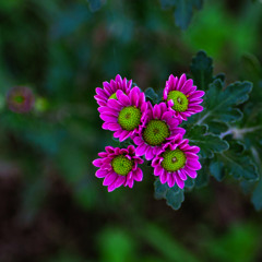 With You, I Found My True North