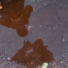 IT'S A SQUIRREL IN THE LOFT