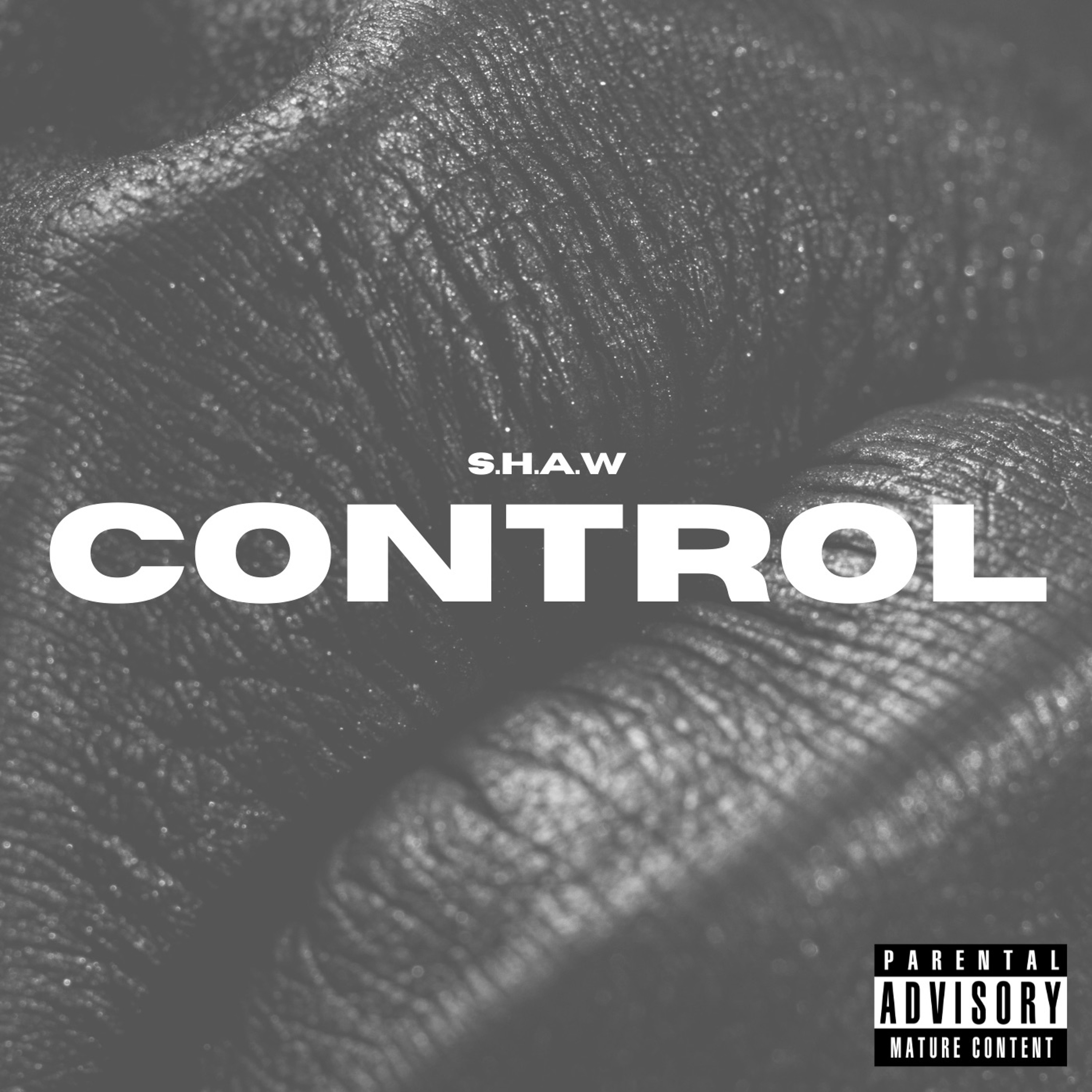 Control- S.H.A.W episode artwork