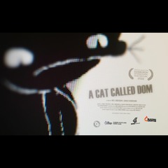 Where Are You Will? (A Cat Called Dom)