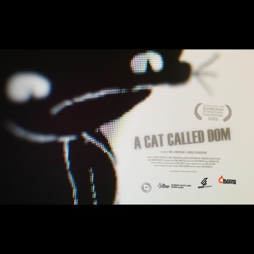 Where Are You Will? (A Cat Called Dom)