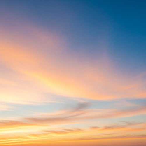 わたがし - back number