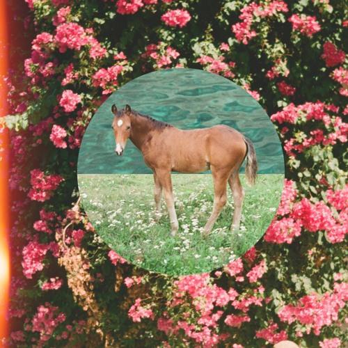 Stream Trending Music | Listen to Indie playlist online for free on