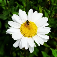 Gonna Lose My Mind Tonight