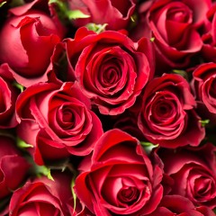 Love Songs for Valentine's Day ❤️❤️❤️