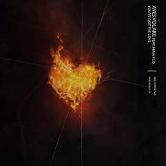 Aves Volare Feat. Nina Flo - You've Got The Love (AV Reinterpretation)