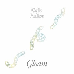 Cole Pulice - Sleep Helix (Pingipung 073, Vinyl)